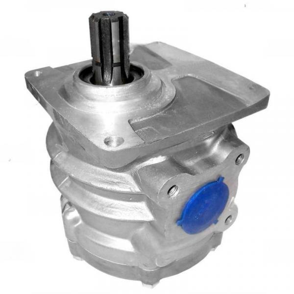 Hydraulikpumpe NŠ100 K700/K701