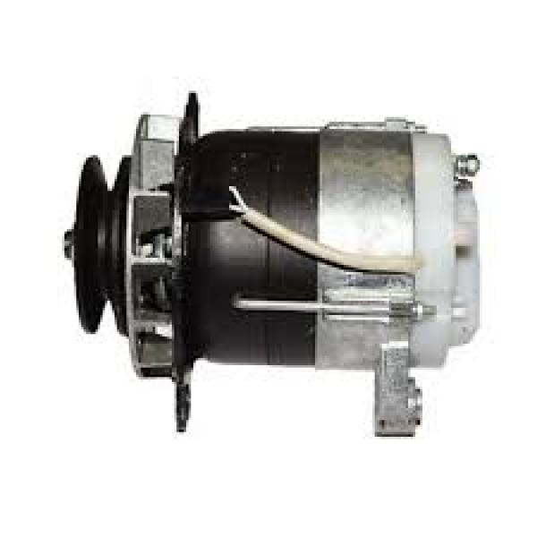 Lichtmaschine MTS 1000W